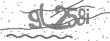 visual captcha